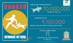 Infographic showing the statistics for dangerous dogs